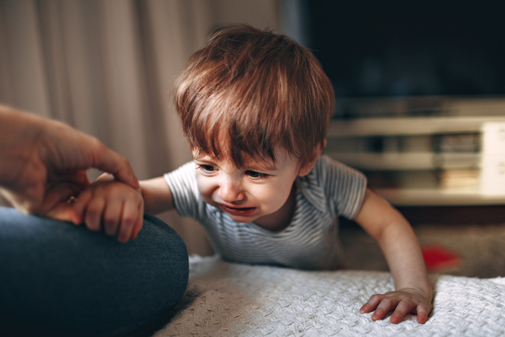 訴える男の子の画像